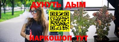 гидра Дубна