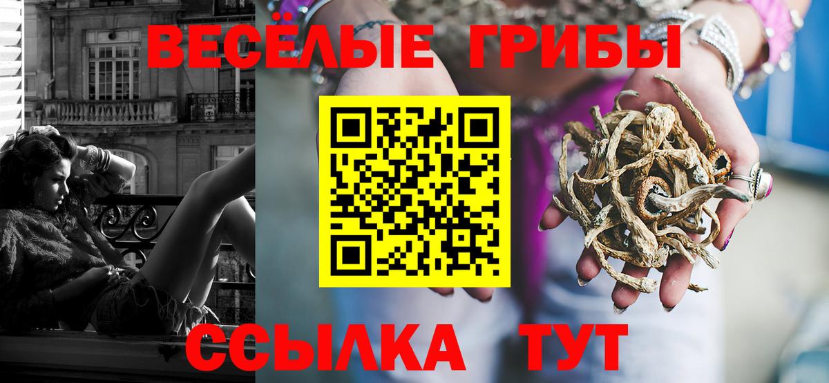 Галлюциногенные грибы ЛСД  купить наркотики сайты  Грозный  Вход с VPN 