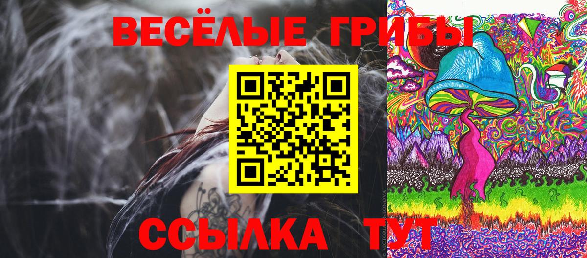 Псилоцибиновые грибы ЛСД Грозный