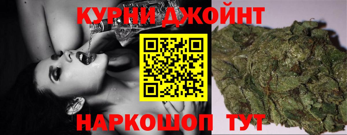 МАРИХУАНА сатива Грозный