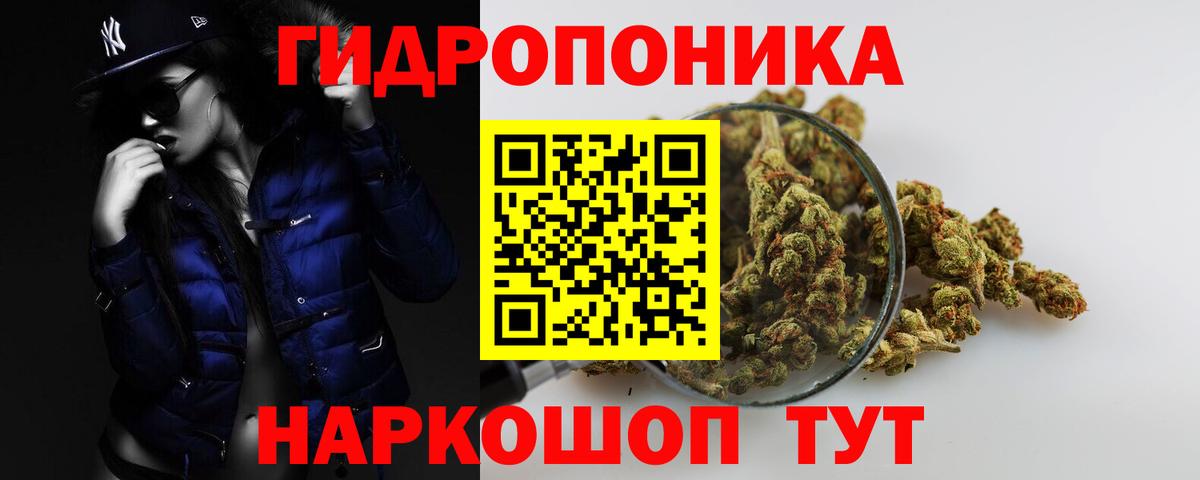 Каннабис гибрид  Вход с VPN  Шишки марихуана White Widow  Каннабис сатива  Грозный 